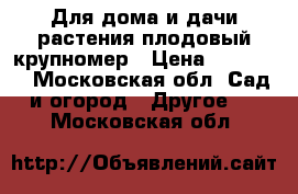 Для дома и дачи-растения плодовый крупномер › Цена ­ 10 900 - Московская обл. Сад и огород » Другое   . Московская обл.